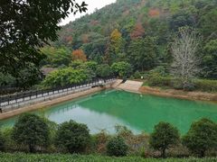 -九龙潭景区
