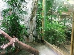-上海大自然野生昆虫馆(东方明珠·爬宠昆虫探索中心)