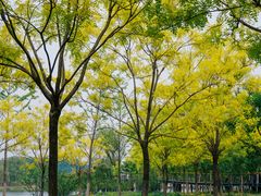 -东郊湿地公园