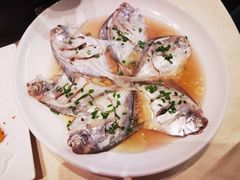 -阿莉餐厅(枣阳路店)