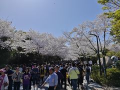 -尚贤河湿地
