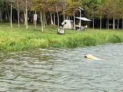 -上海海湾国家森林公园