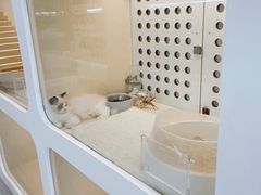 -comecome来吧宠物(奥克斯中心店)