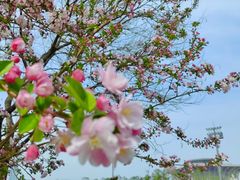 -海棠花溪(元大都城垣遗址公园)