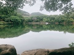 -白马涧龙池景区
