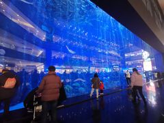 -成都浩海立方海洋公园