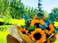 -长白岛森林公园