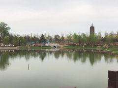 -西海子公园