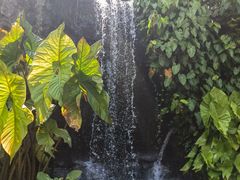 -植物园哈利亚餐厅