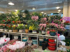 -双季花艺园艺市场(浦东店)
