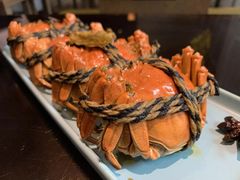 -海食焗(新光天地店)