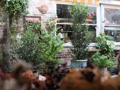 -The Grounds of Alexandria