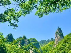 -中原大佛景区