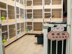 -猫宠乐园·专业洗护