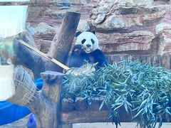 -石家庄市动物园