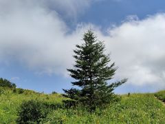 -白草畔自然风景区