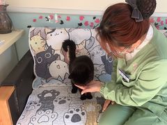 -全心全意连锁动物医院(加州店)