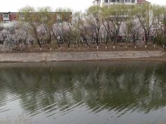 -桃花堤公园