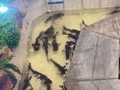 -春盛渔府(牛首山店)