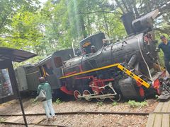 -五营红松林海景区