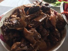 -同銮特种养殖场·龙虾垂钓