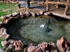 -缘福乡村铁锅炖民宿(八达岭店)
