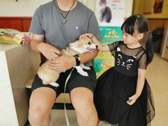 -艾贝尔宠物医院·狂犬免疫点(江山金象城店)