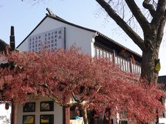 -枫桥景区