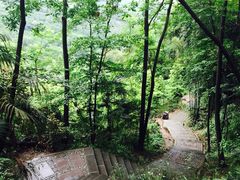 凤栖山康道-凤栖山