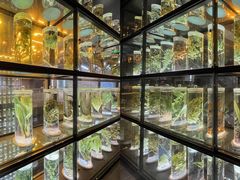 -广东中医药博物馆