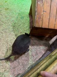 -Zoolung Zoolung动物主题公园(海信广场店)