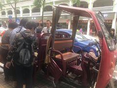 -鼎香皇高佬苏裹蒸粽