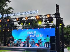 -阳台山自然风景区