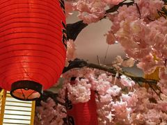 -九田家黑牛烤肉料理(华侨城店)