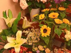 -武汉花鸟市场
