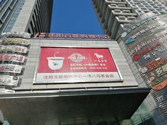 -沈阳百联购物中心(青年大街店)