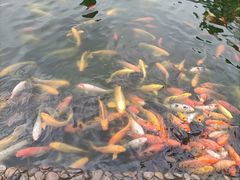 -成都动物园