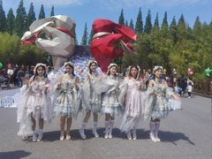 -黄海国家森林公园