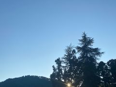 -黔灵山公园