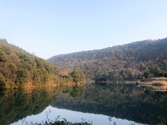 -桃花岭景区