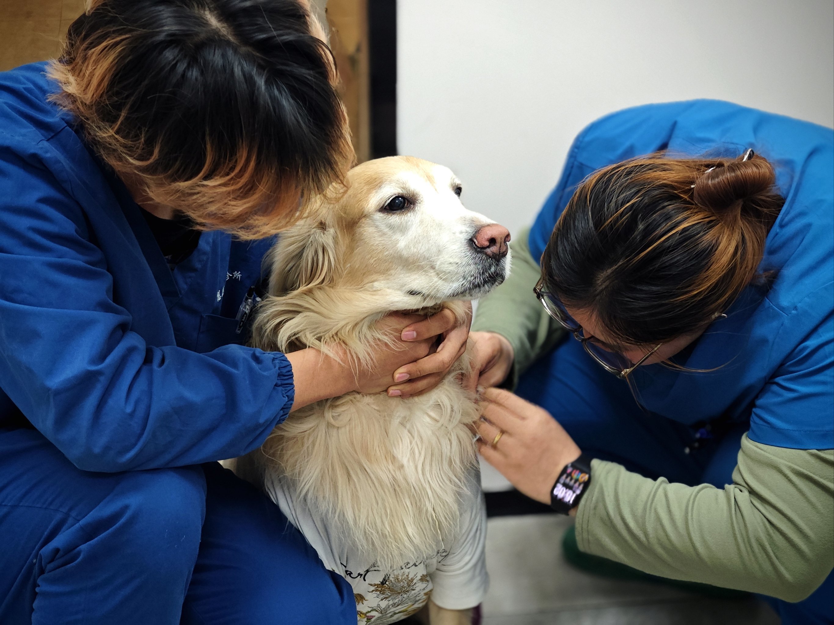 天啦噜~ 发现一家神仙医院!