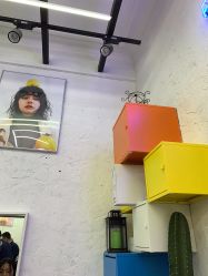 -SALON V