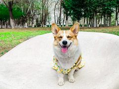 -莫子山公园