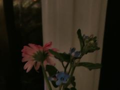 -半秋山西餐厅(巴南万达广场店)