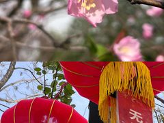 -武汉园博园(武汉自然博物馆)