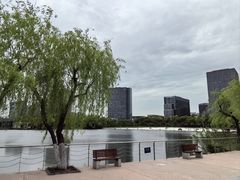 -大宁公园
