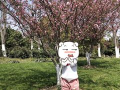 -昆山城市生态森林公园