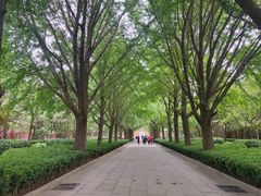 -护国寺小吃(地安门店)