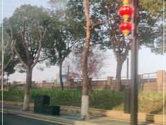 -武昌江滩
