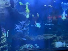 -多彩贵州城极地海洋世界